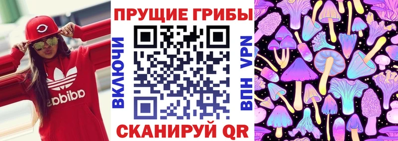Галлюциногенные грибы GOLDEN TEACHER  KRAKEN   Усть-Лабинск 